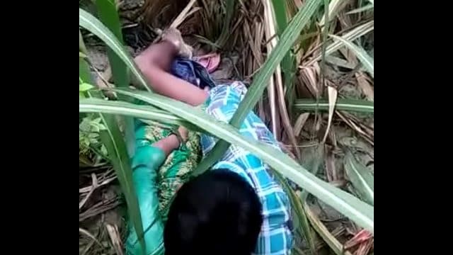 fun on the farm xnxxn hindi sex video - Indianpornxxx